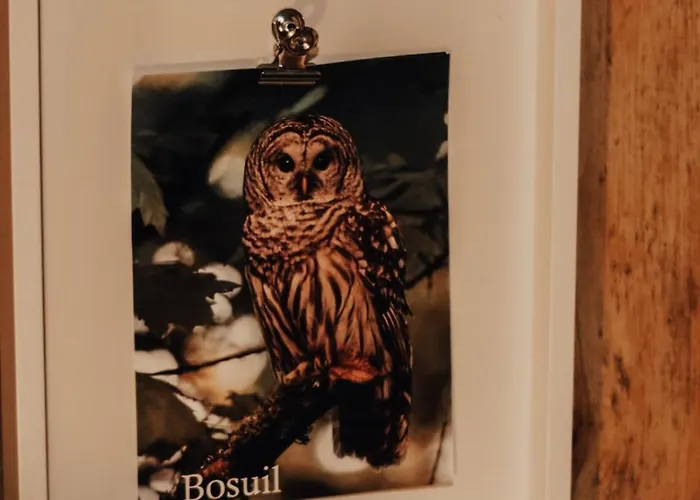 Hoeve Twente - De Bosuil * Heythuysen