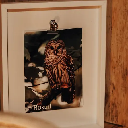 Hoeve Twente - De Bosuil * Heythuysen